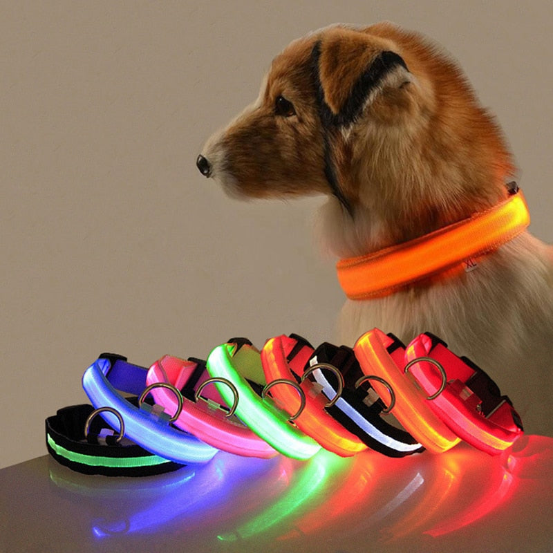 Hundhalsband med LED-belysning - GlowCollar