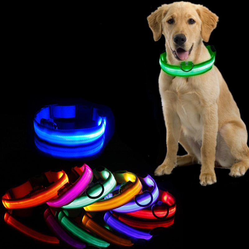 Hundhalsband med LED-belysning - GlowCollar