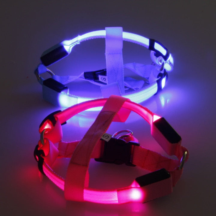 Hundsele med LED - Glow&amp;Go