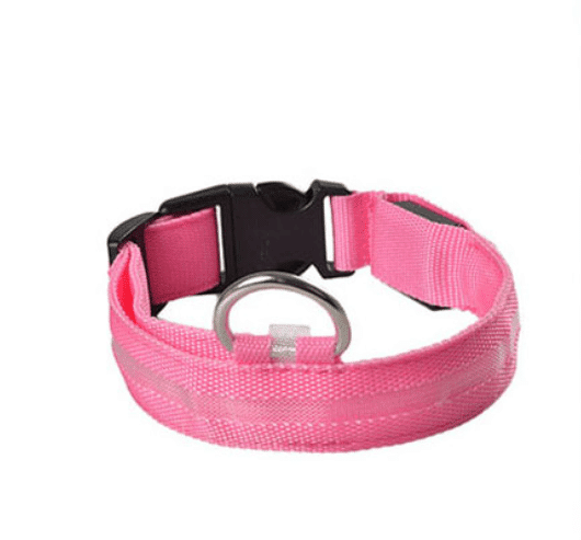Hundhalsband med LED-ljus |