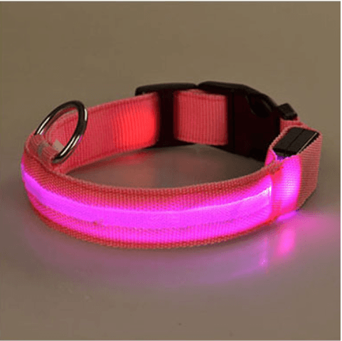 Hundhalsband med LED-ljus |