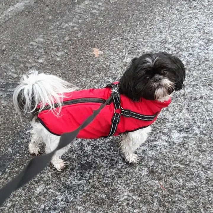 Vattentät Hundjacka för Vinter med Reflekterande Inbyggd Sele