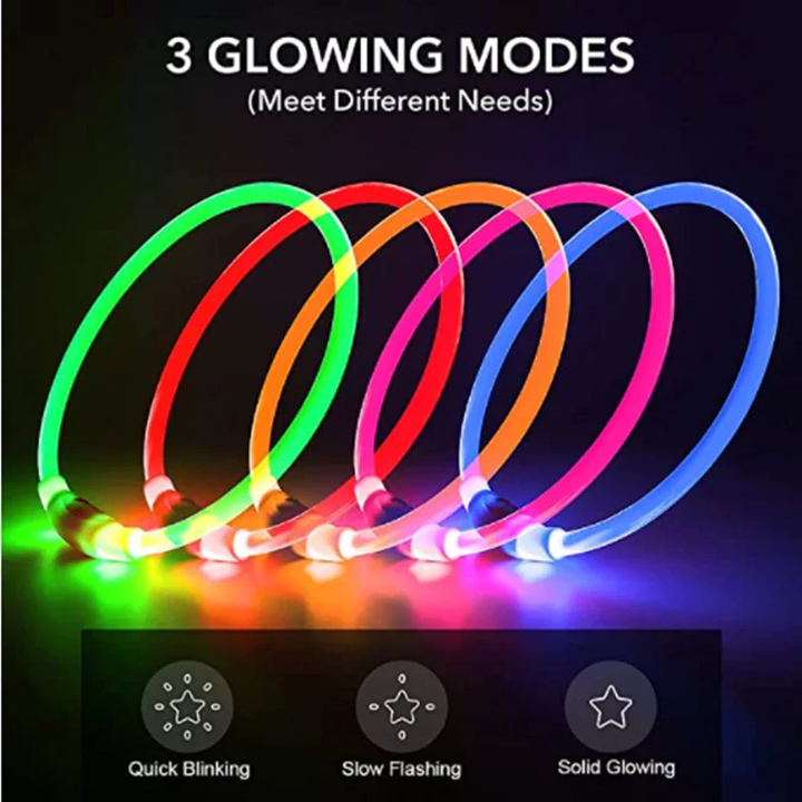 Ljusande Hundhalsband, USB-uppladdningsbart LED-halsband
