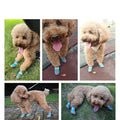 Hållbara utomhus hundskor med mesh - All-terrain tass skydd