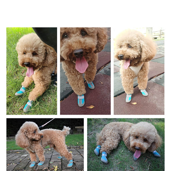 Hållbara utomhus hundskor med mesh - All-terrain tass skydd