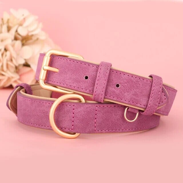 Valp Halsband