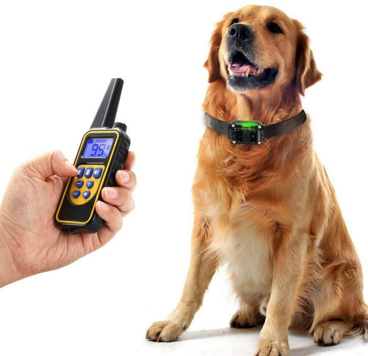 Vattentät hundträningshalsband med fjärrkontroll