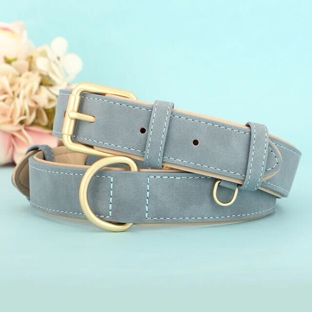 Valp Halsband