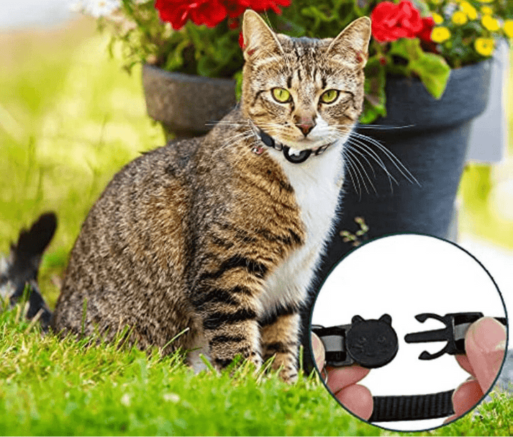 FELITRACK – GPS-halsband för katt med reflekterande design
