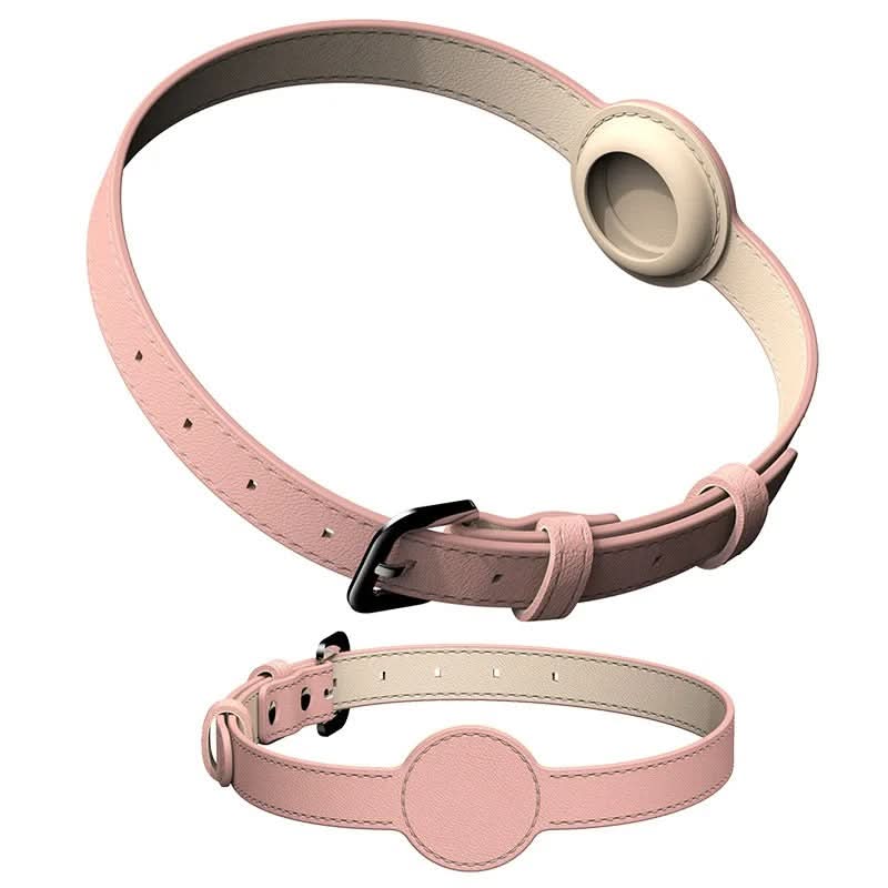 Hundhalsband med integrerat AirTag-fäste för säkerhet och stil