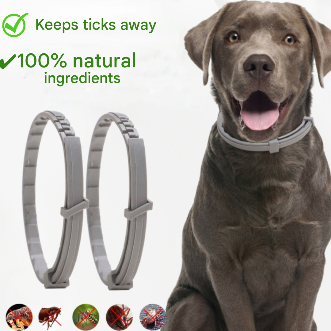 Flea and Tick Collar - FleaGuard