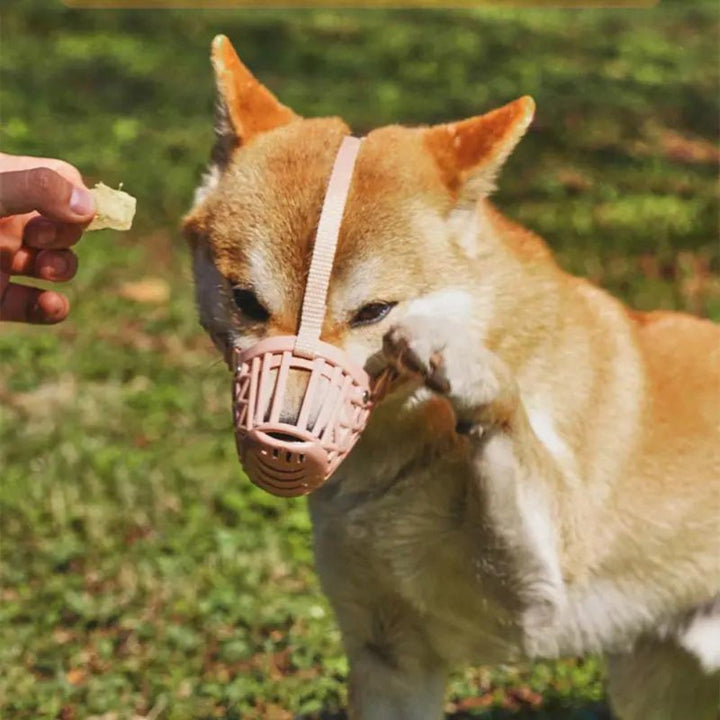 FlexGuard • Korgmuzzle för Hundar