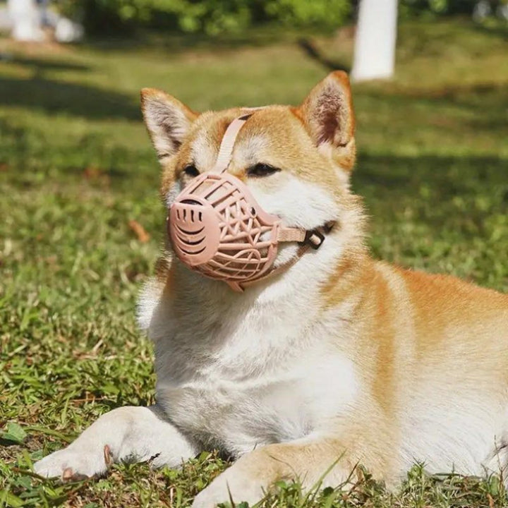 FlexGuard • Korgmuzzle för Hundar