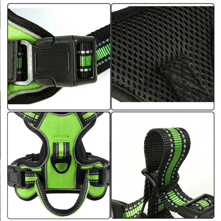 FlexHarness  •  Hundsele utan drag