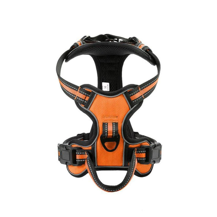 FlexHarness  •  Hundsele utan drag