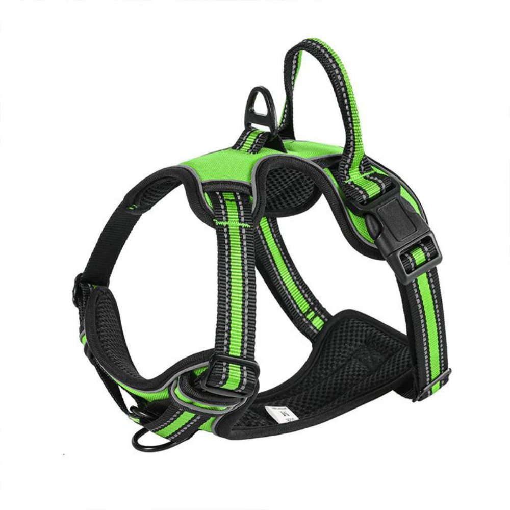 FlexHarness  •  Hundsele utan drag