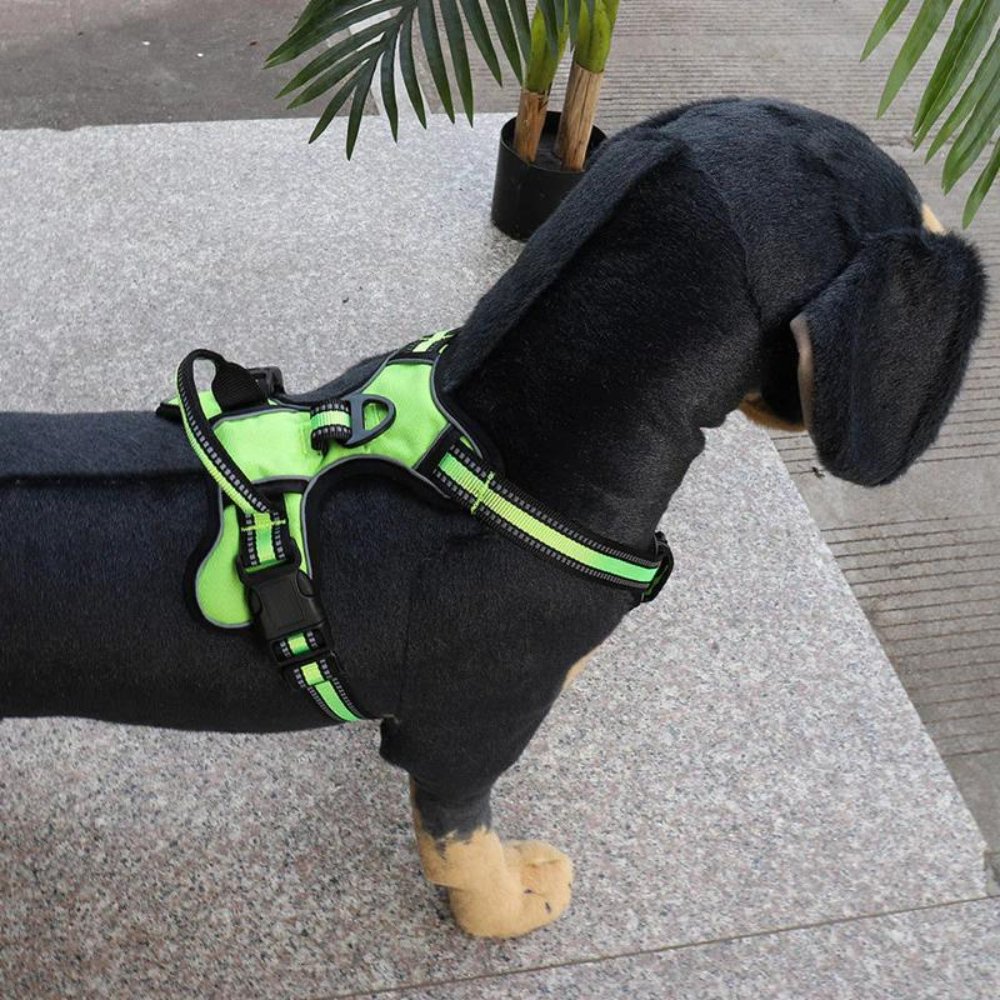 FlexHarness  •  Hundsele utan drag