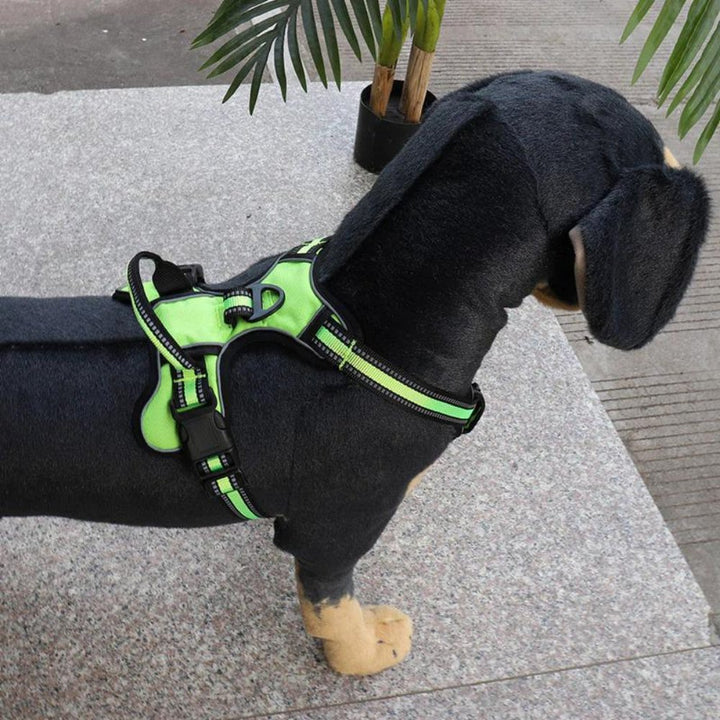 FlexHarness  •  Hundsele utan drag