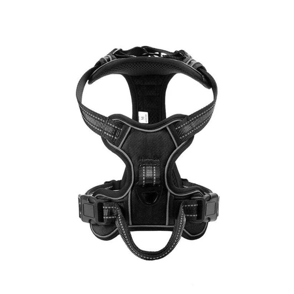 FlexHarness  •  Hundsele utan drag