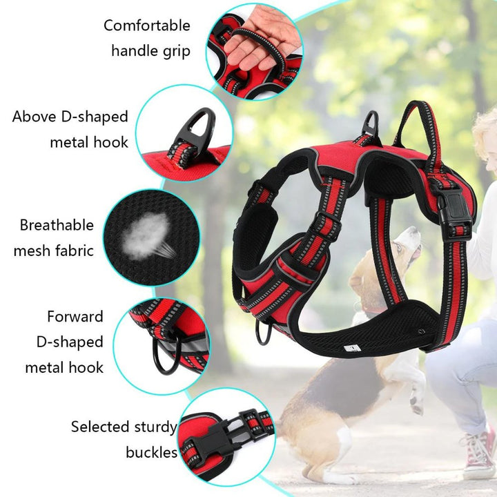 FlexHarness  •  Hundsele utan drag