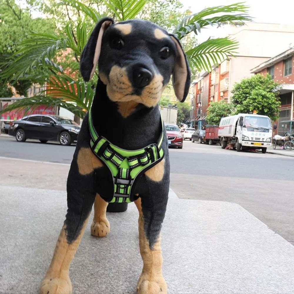 FlexHarness  •  Hundsele utan drag