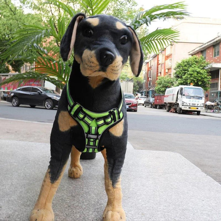 FlexHarness  •  Hundsele utan drag