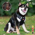 Reflekterande Hundsele |
