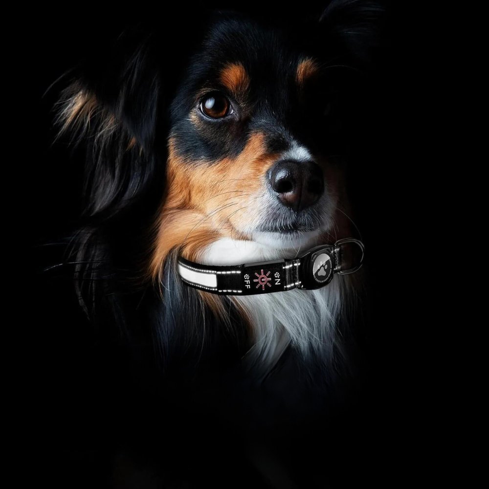 GlowGuard • AirTag Hundhalsband