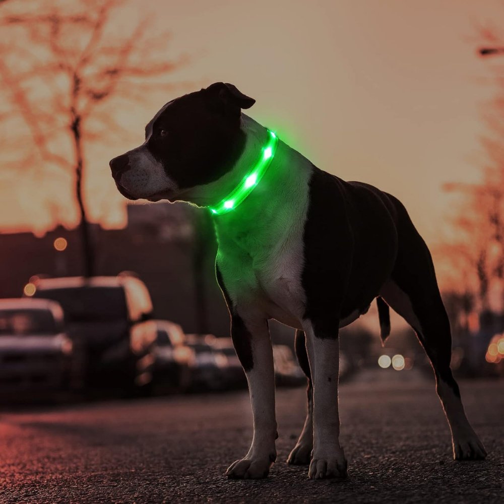 GlowGuard • AirTag Hundhalsband