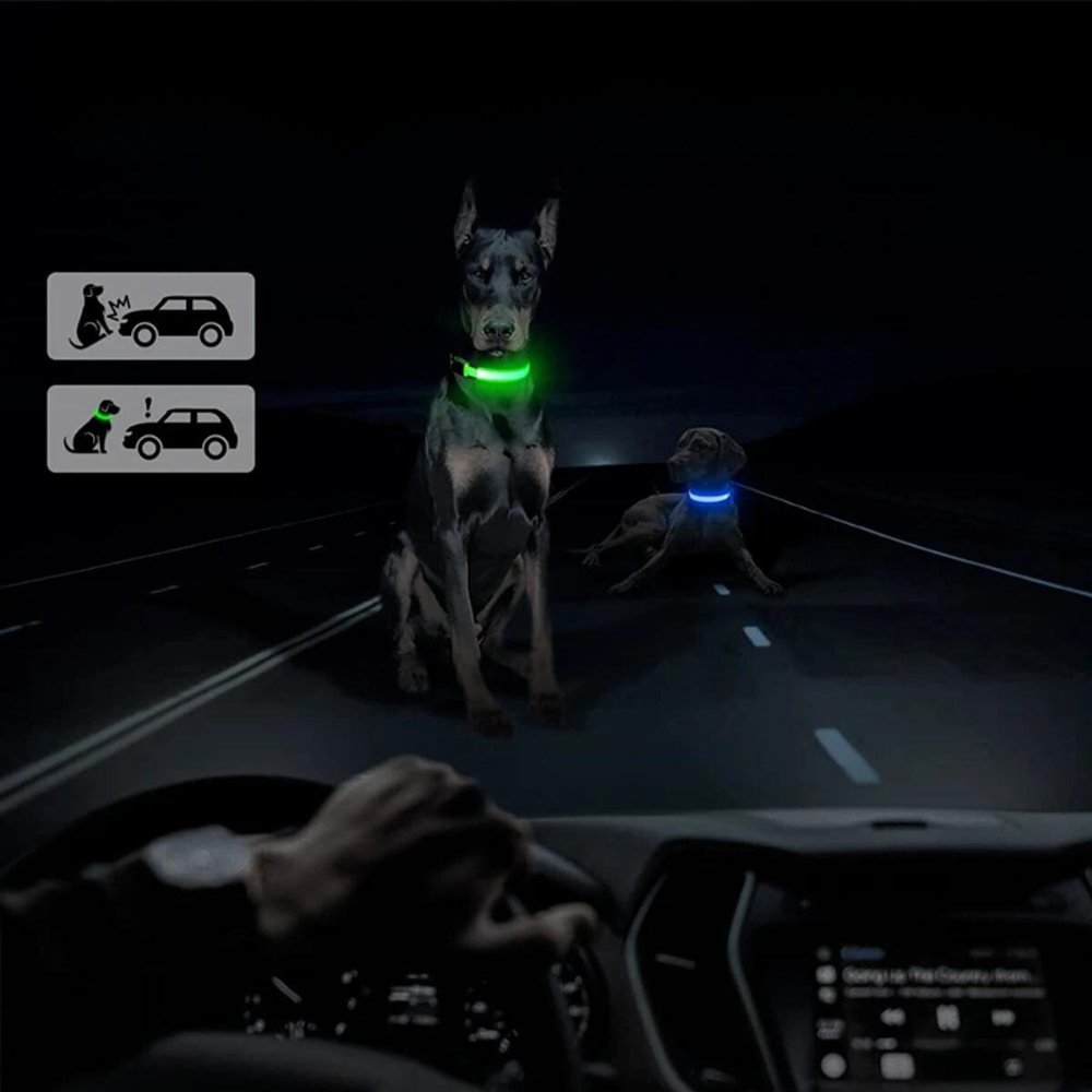GlowGuard • AirTag Hundhalsband
