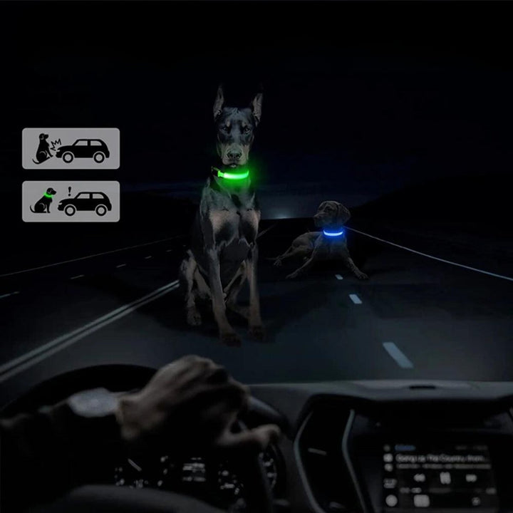 GlowGuard • AirTag Hundhalsband