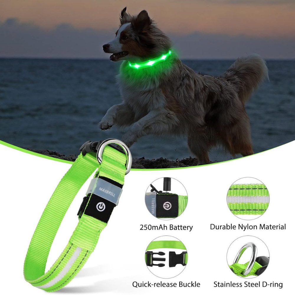 GlowGuard • AirTag Hundhalsband