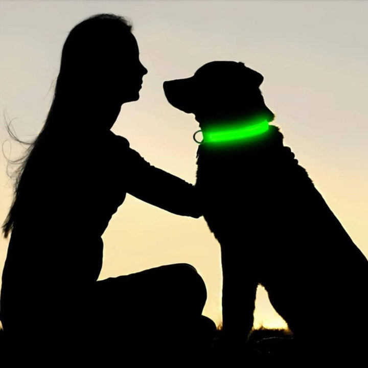 GlowGuard • AirTag Hundhalsband