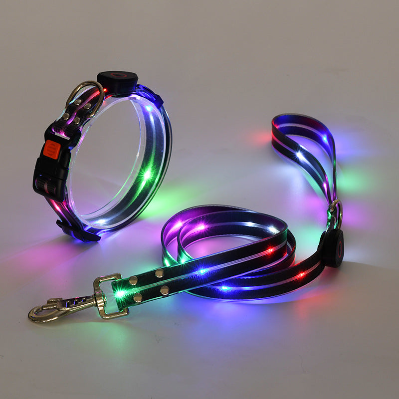 Glödande LED Hundhalsband med Koppel - NightBright