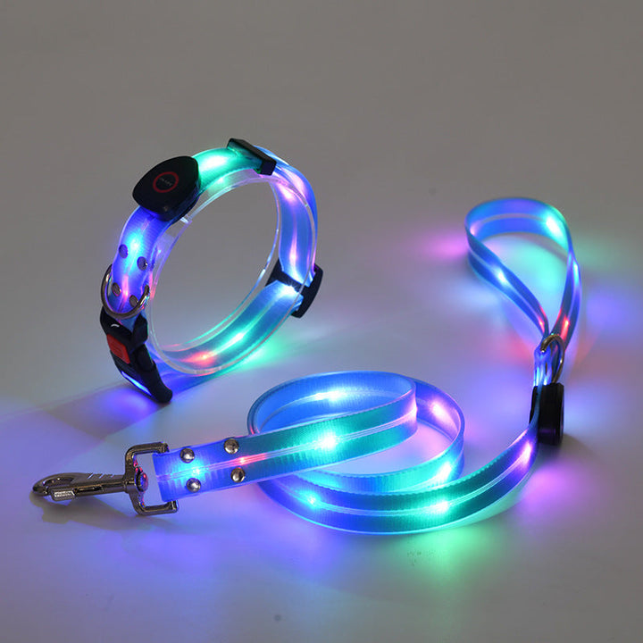 Glödande LED Hundhalsband med Koppel - NightBright