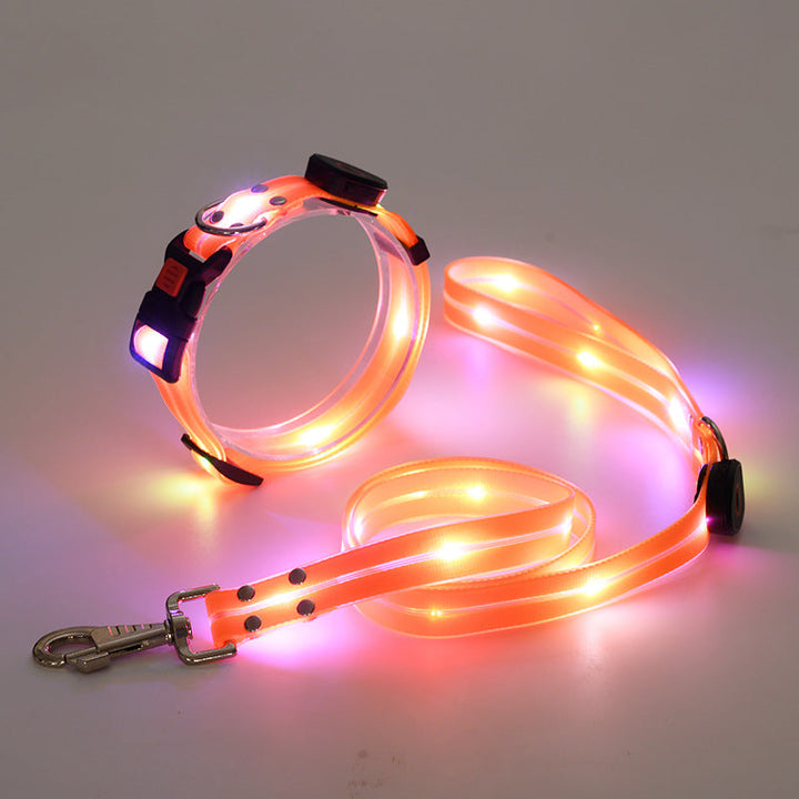 Glödande LED Hundhalsband med Koppel - NightBright