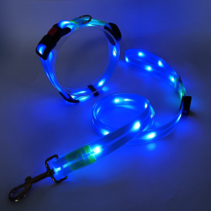Glödande LED Hundhalsband med Koppel - NightBright