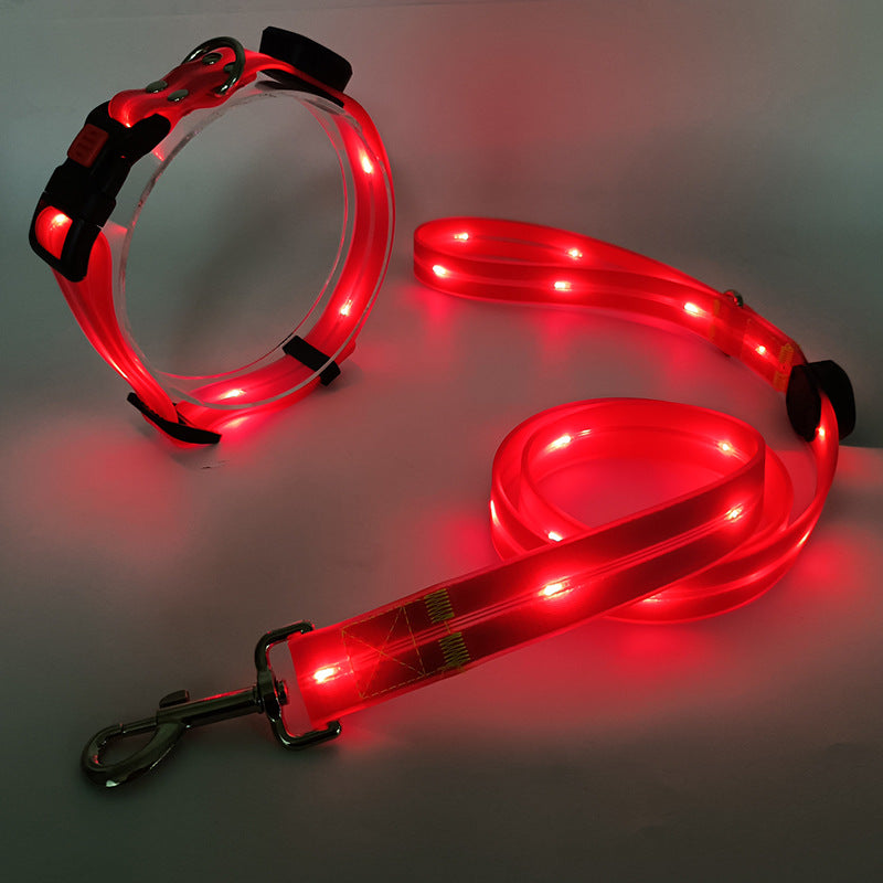 Glödande LED Hundhalsband med Koppel - NightBright
