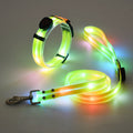 Glödande LED Hundhalsband med Koppel - NightBright