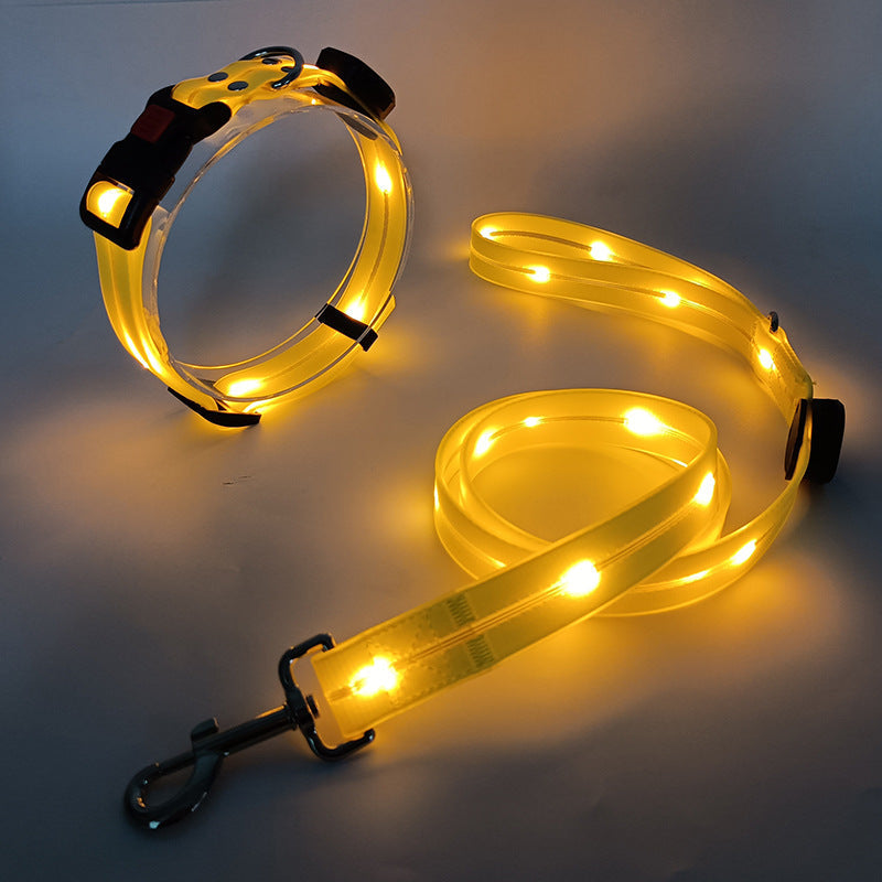 Glödande LED Hundhalsband med Koppel - NightBright