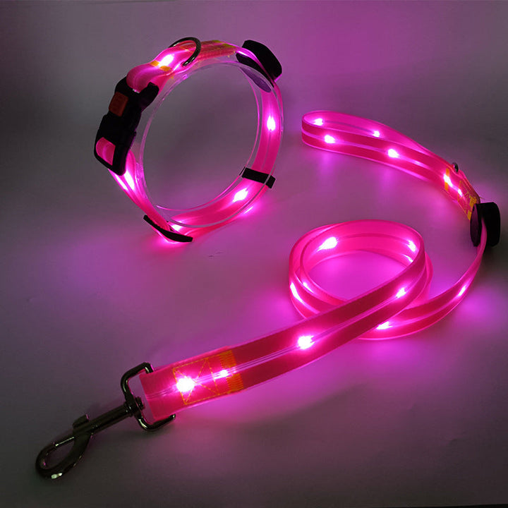 Glödande LED Hundhalsband med Koppel - NightBright
