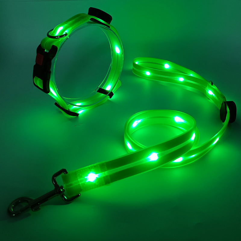 Glödande LED Hundhalsband med Koppel - NightBright