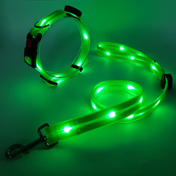 Glödande LED Hundhalsband med Koppel - NightBright