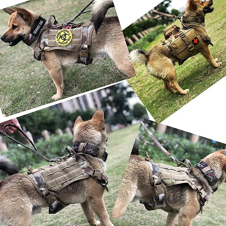 GuardianVest •  Ingen Drag Hundsele