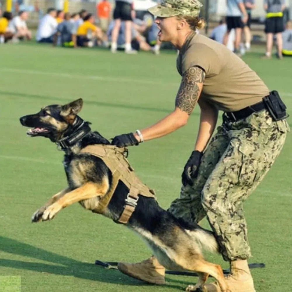 GuardianVest •  Ingen Drag Hundsele