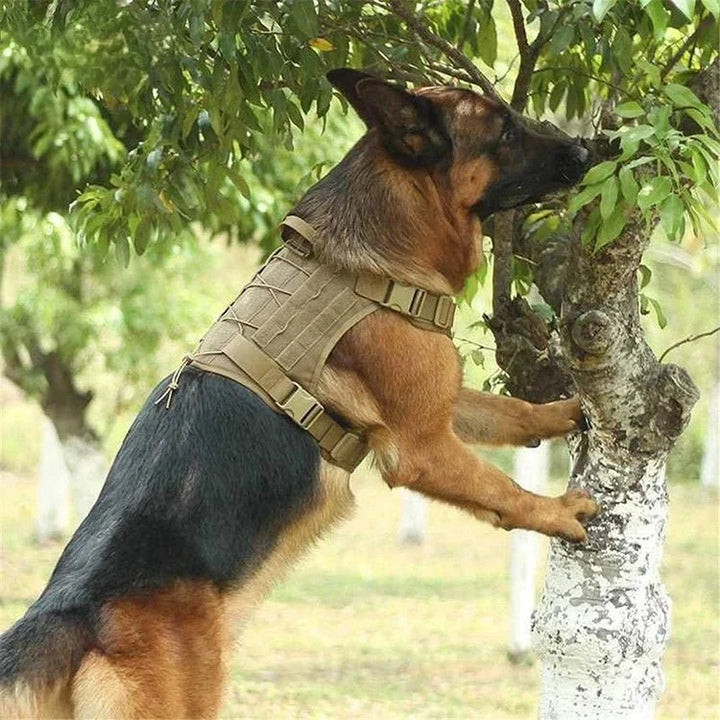 GuardianVest •  Ingen Drag Hundsele