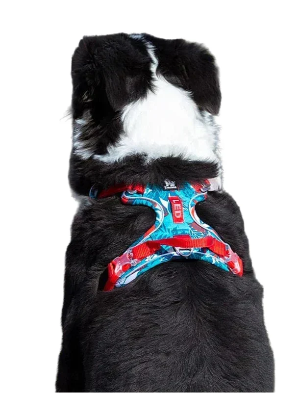 Bekväm &amp; Hållbar Hundsele – Vendo