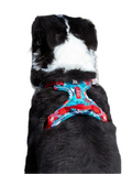 Bekväm & Hållbar Hundsele – Vendo