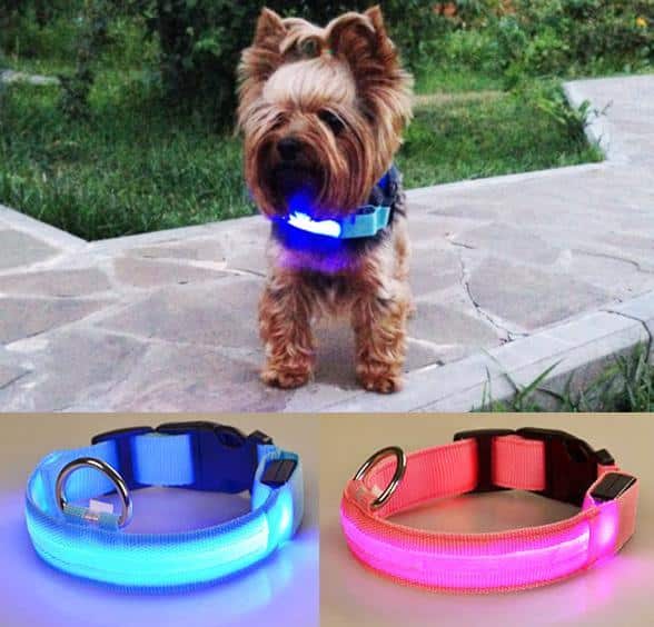 Hundhalsband med LED-ljus |
