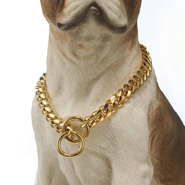 Robust Hundhalsband